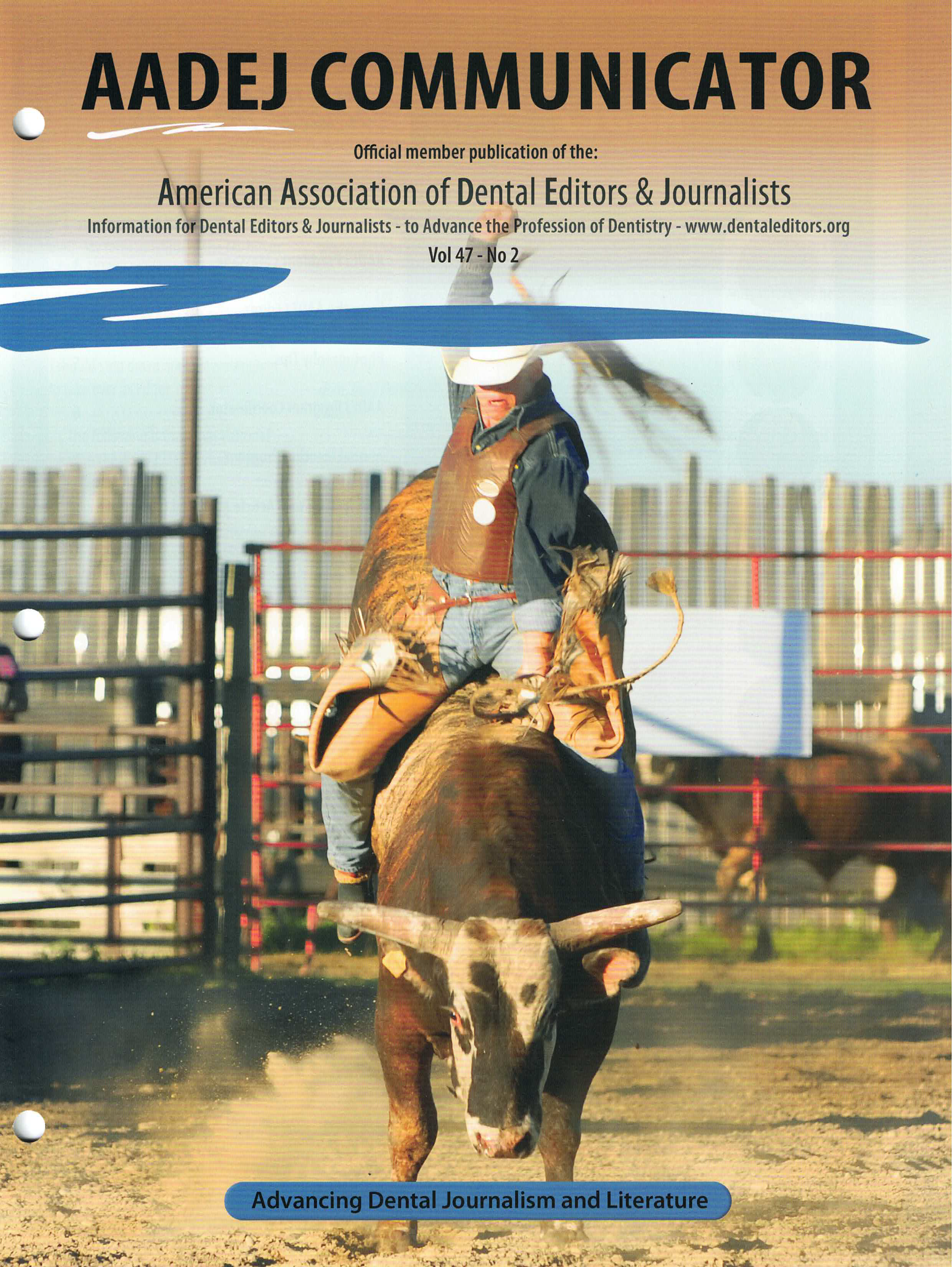 Cover art has a photo of a rodeo cowboy riding a bull