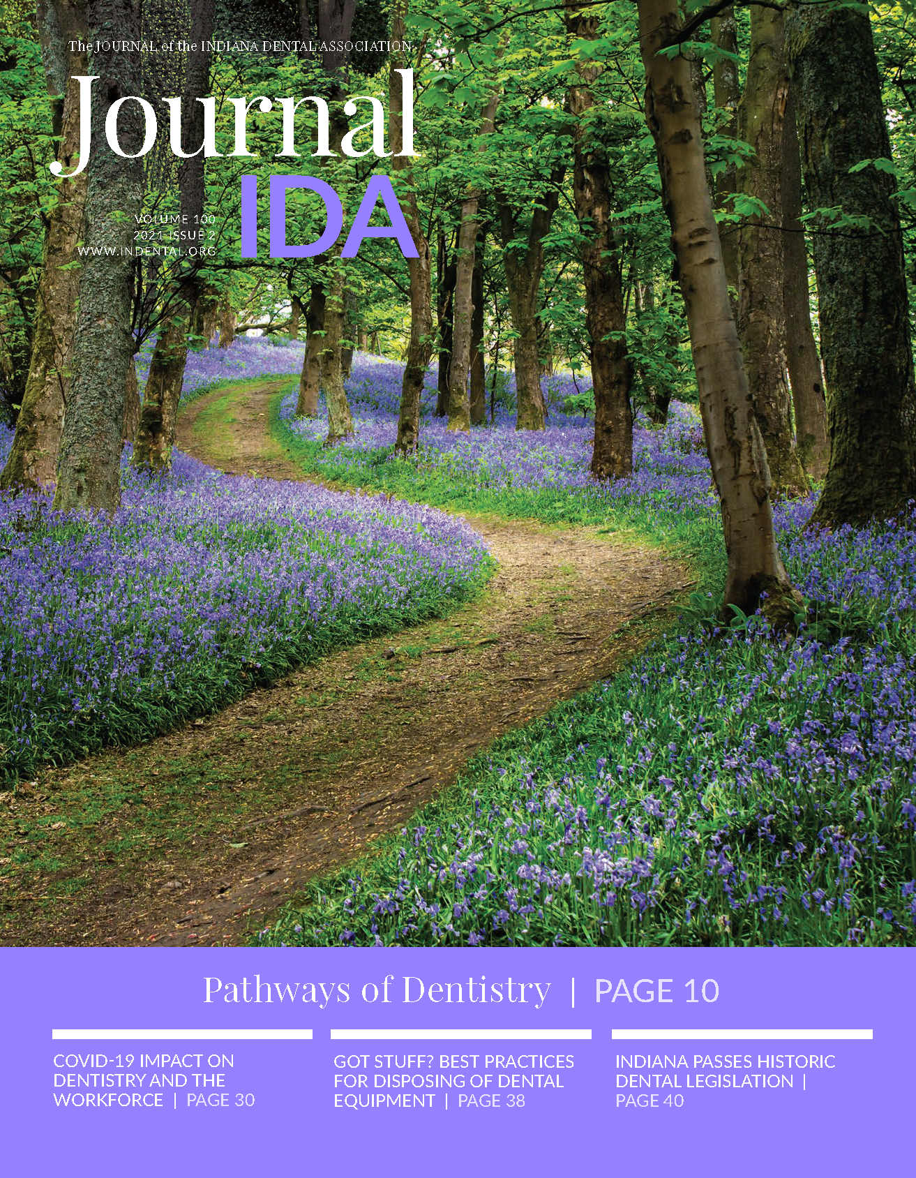 Image of a forest path surrounded by a mat of purple and green flowers