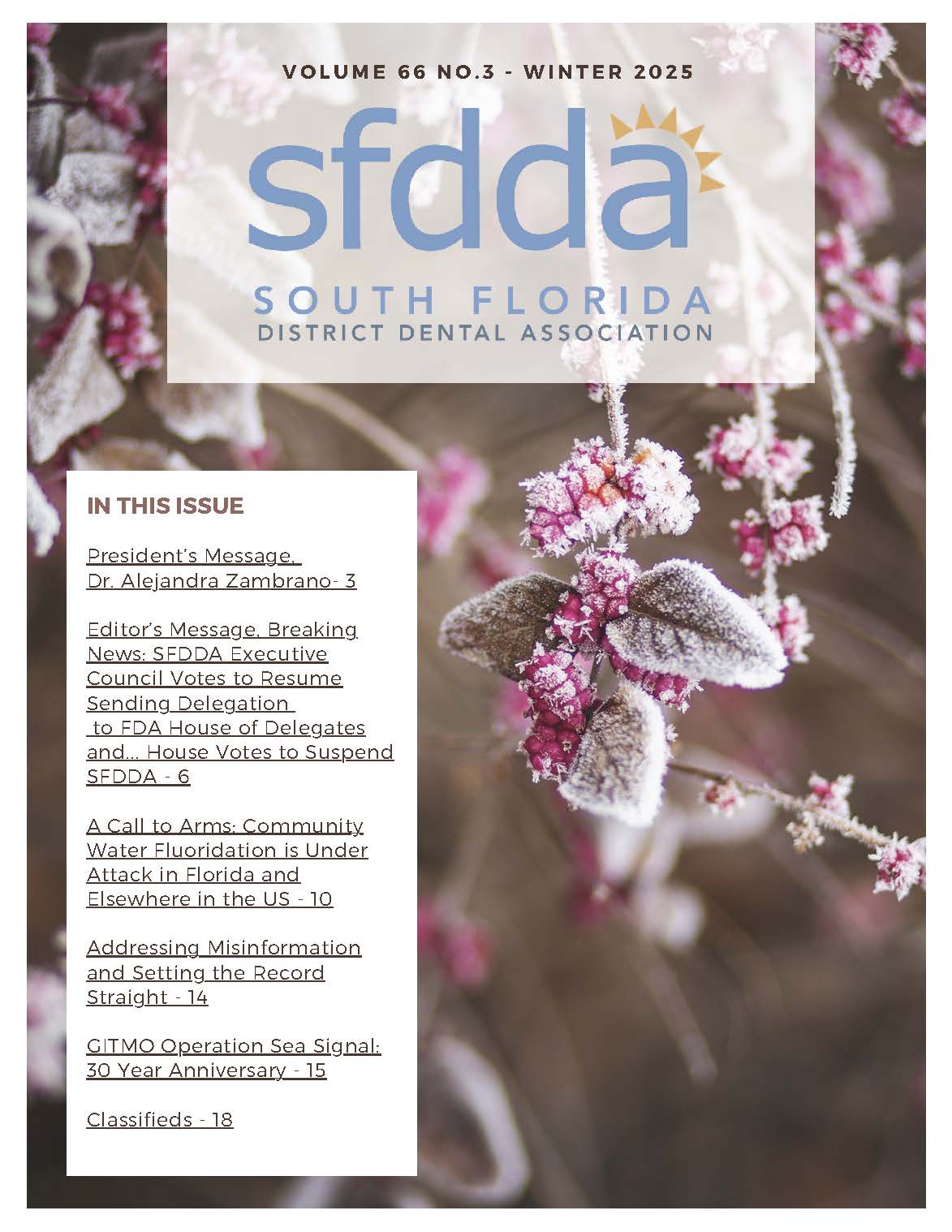 Decorative photo of frost covered mulberries