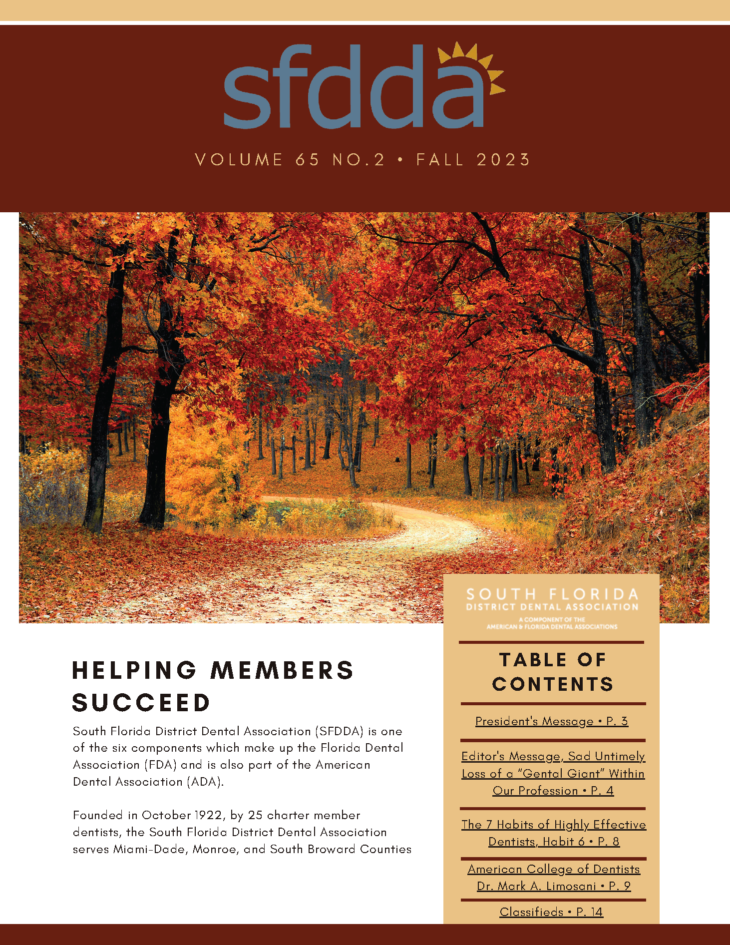 Decorative photo of colorful fall trees