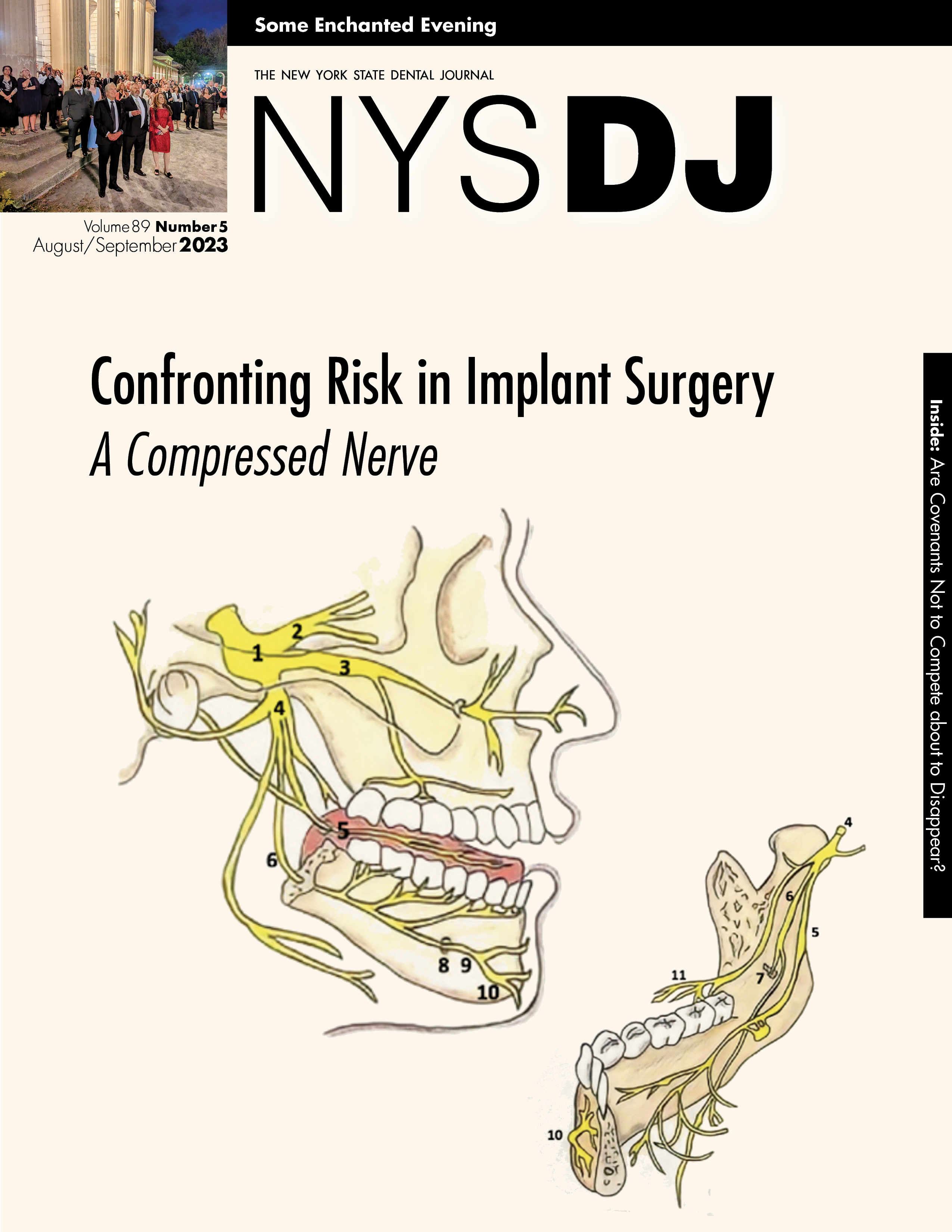 Cover of the NYSDJ with a side-view illustration of a compressed inferior alveolar nerve.