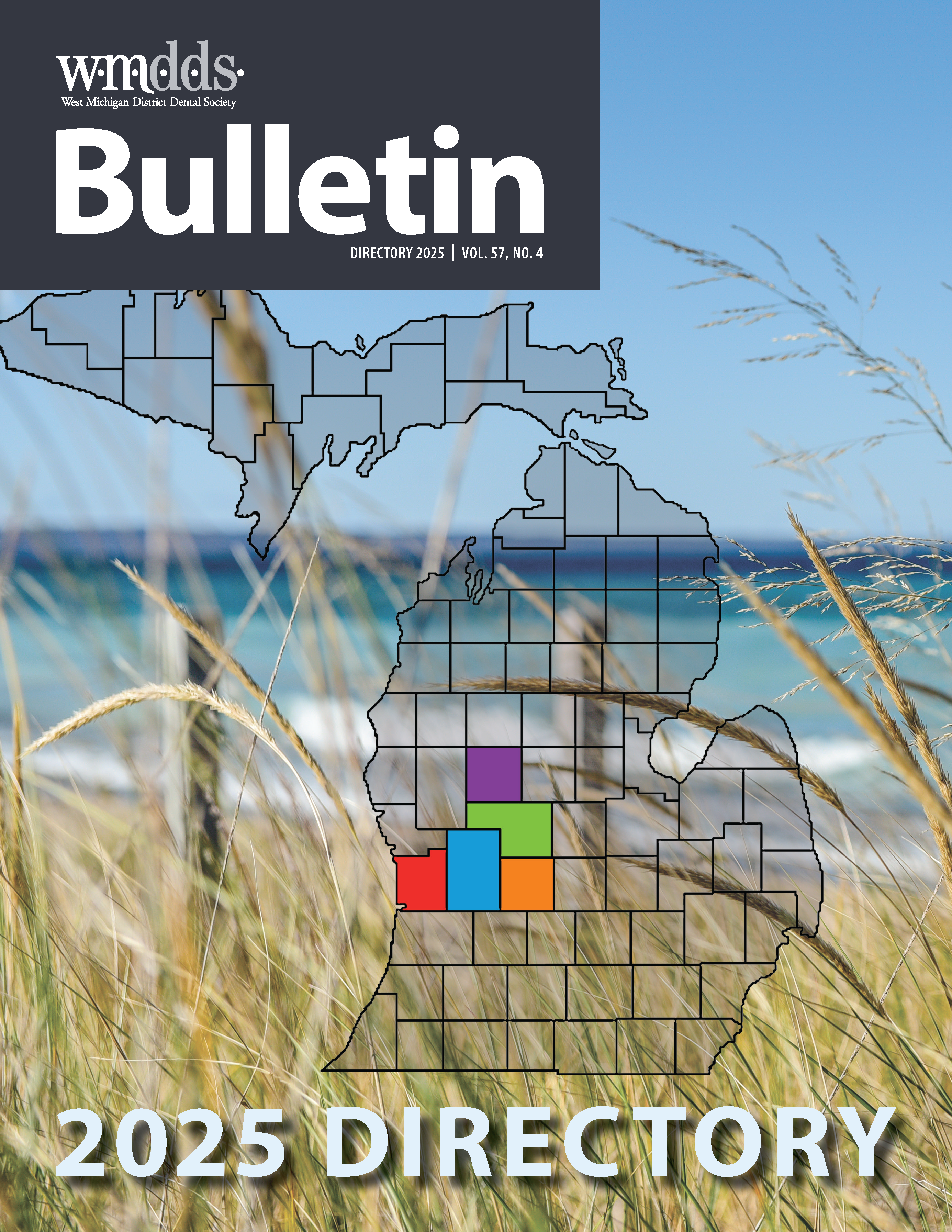 A map of Michigan with the counties comprising WMDDS colored in.