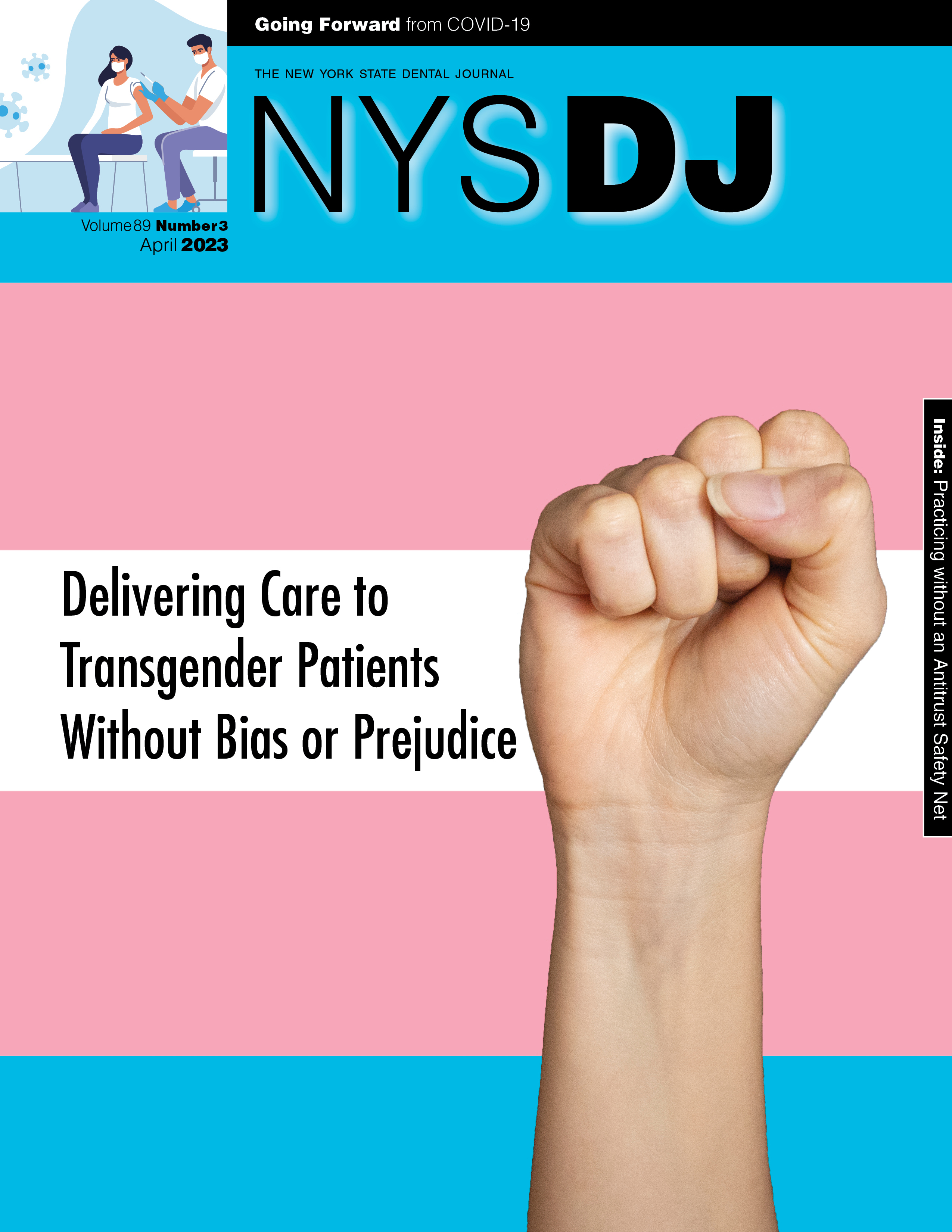 Cover of the NYSDJ with a raised fist in front of the colors of the transgender flag.